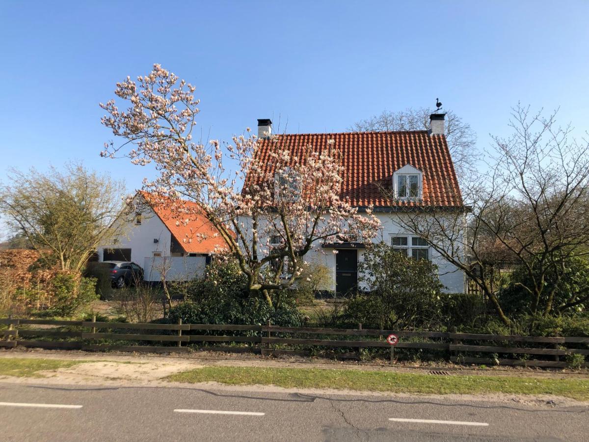 Horse And Hound Bed & Breakfast Riethoven Eksteriør bilde