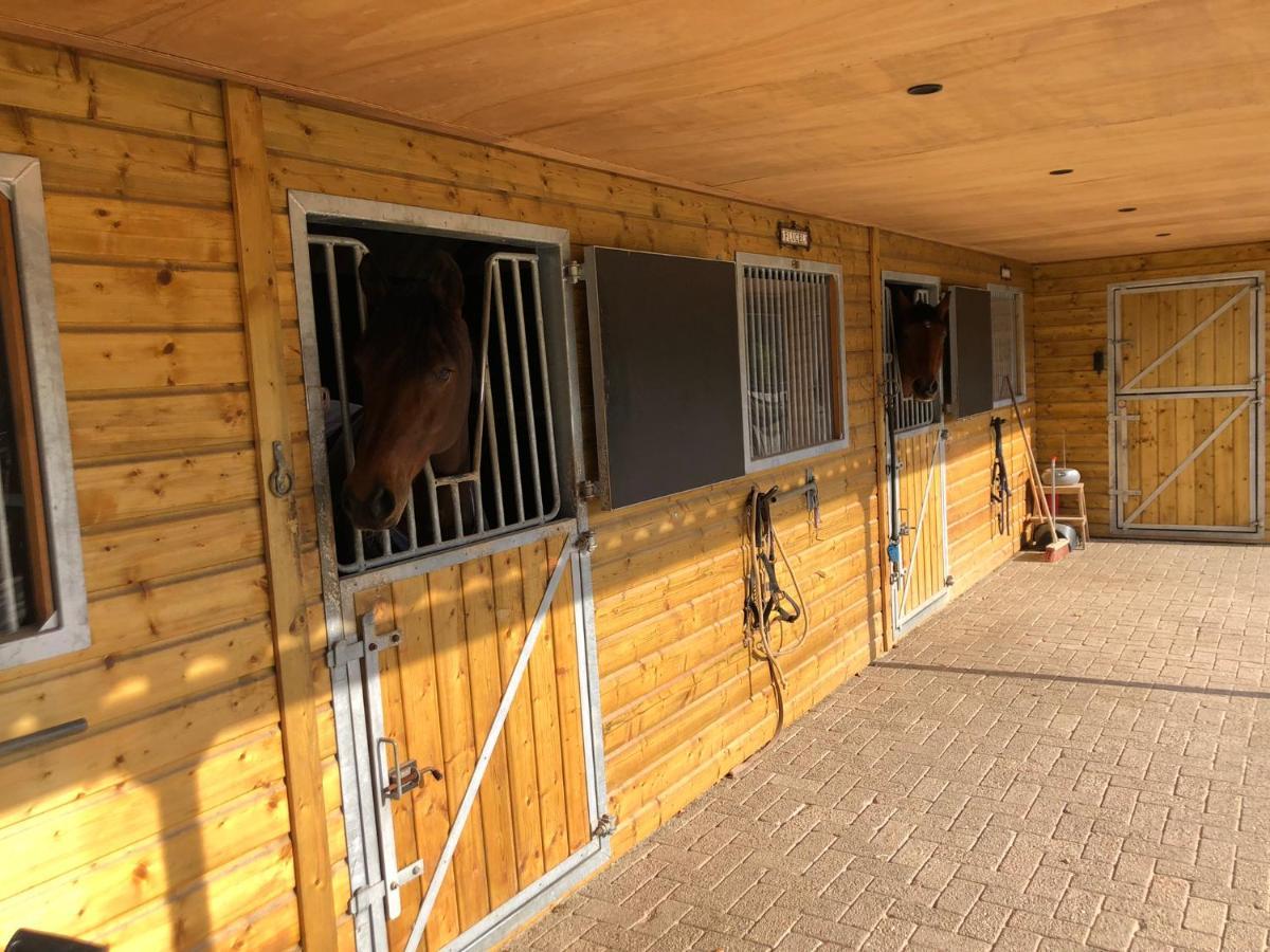 Horse And Hound Bed & Breakfast Riethoven Eksteriør bilde
