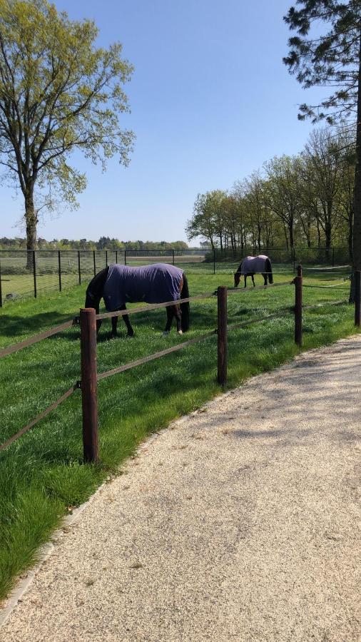 Horse And Hound Bed & Breakfast Riethoven Eksteriør bilde