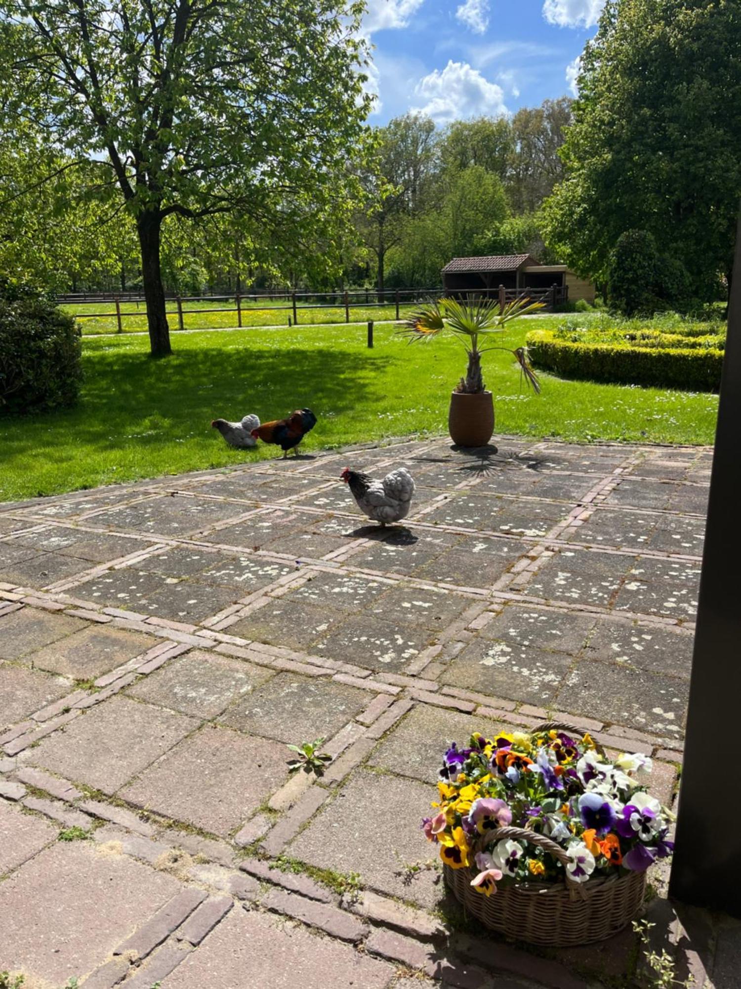 Horse And Hound Bed & Breakfast Riethoven Eksteriør bilde